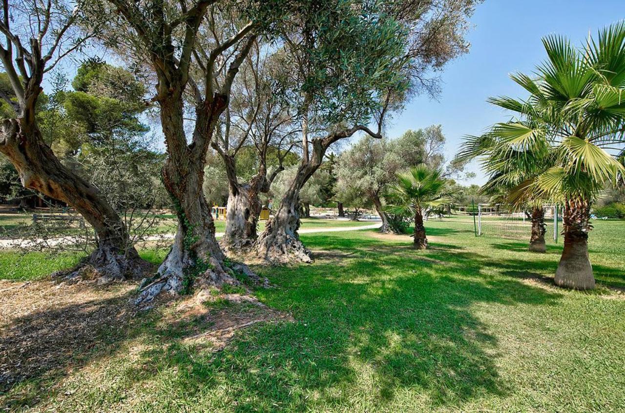 Hotel Club La Font Des Horts Hyères المظهر الخارجي الصورة